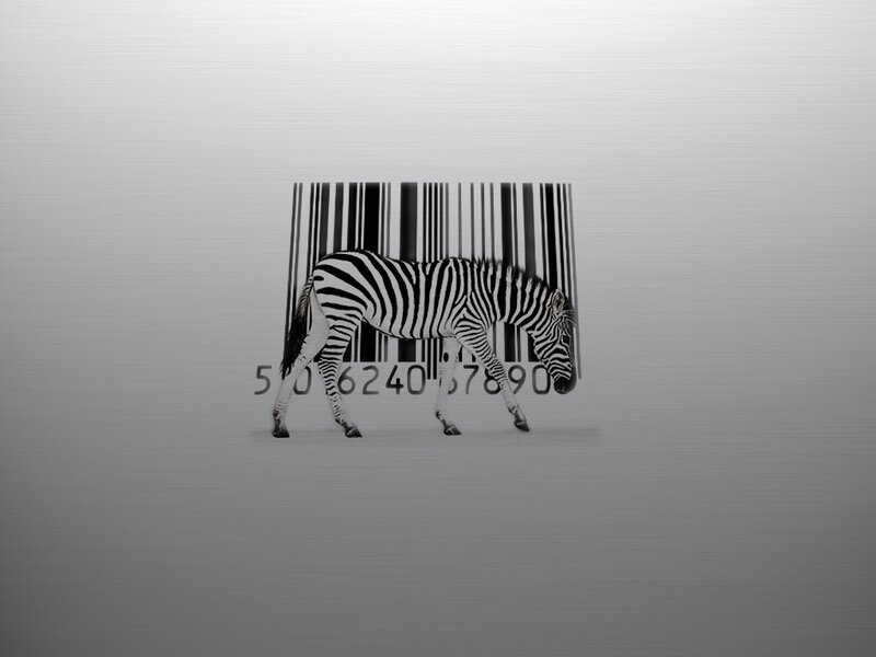 Zebra in Barcode — Black