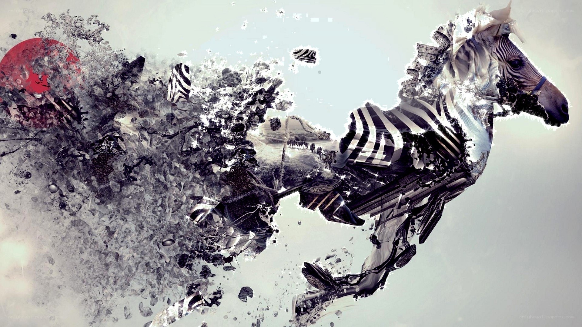 zebra in motion artwork