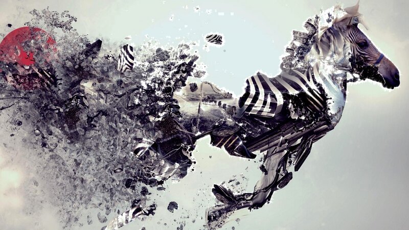 Zebra in Motion — Black, Dynamic