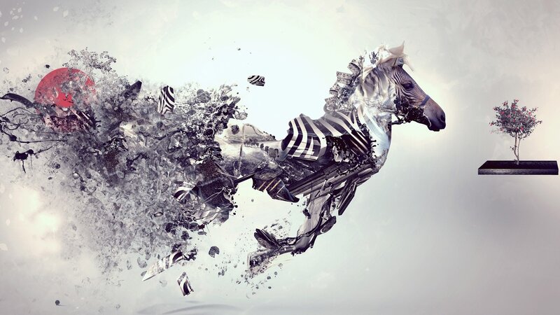 Zebra in Motion — Black