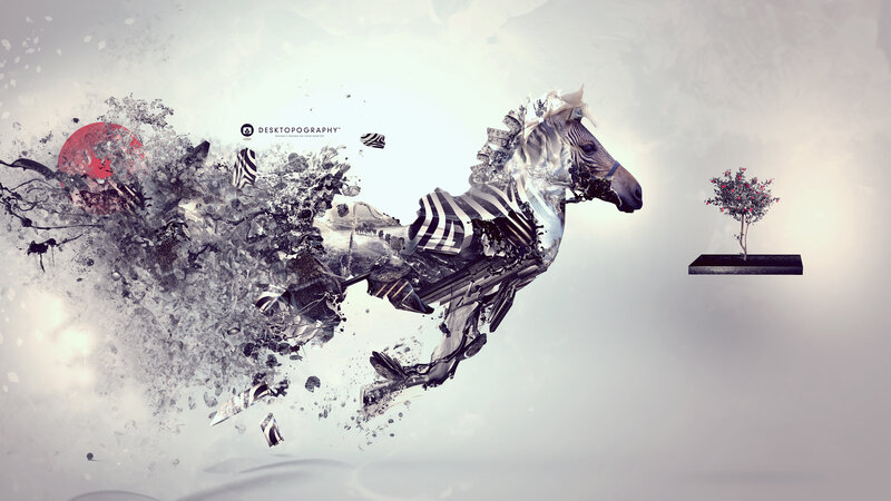 Zebra in Motion — Gray