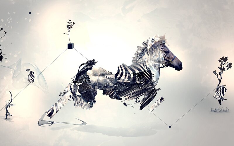 Zebra in Motion — White, Abstract