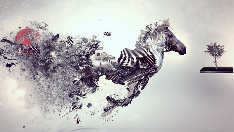 Zebra in Motion — White, Dramatic