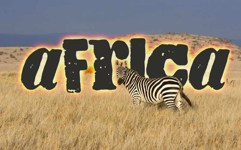 Zebra in Savanna — Brown, Natural