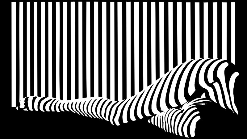 Zebra in Stripes