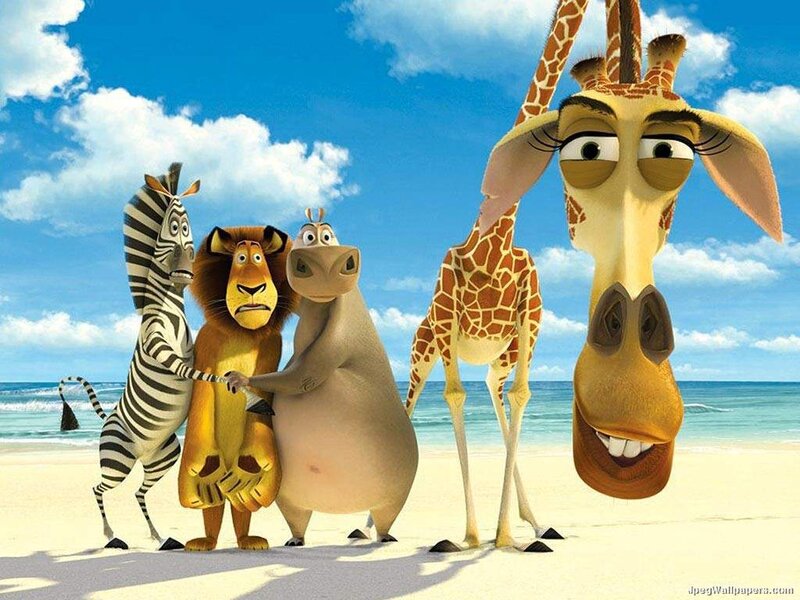 Zebra Lion Hippo Giraffe — Blue, Playful, Afternoon, 3d Render