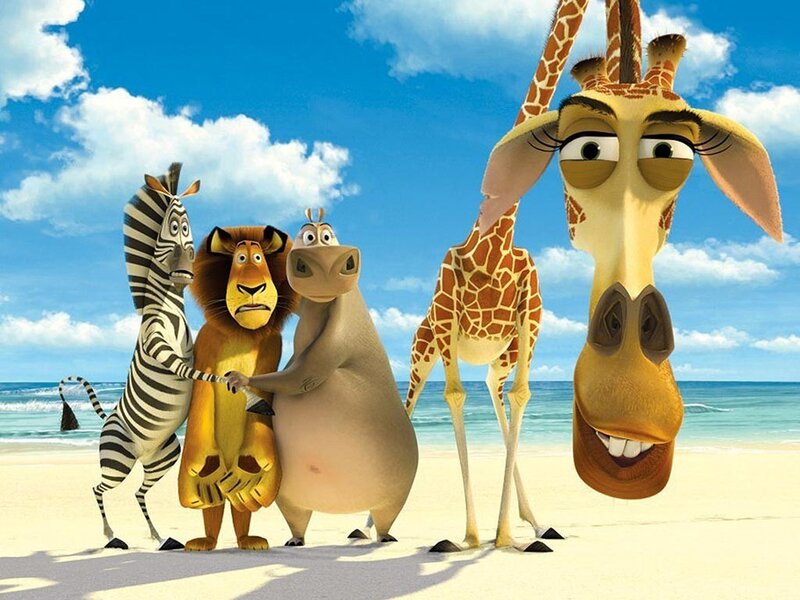 Zebra Lion Hippo Giraffe — Blue, Playful, Afternoon