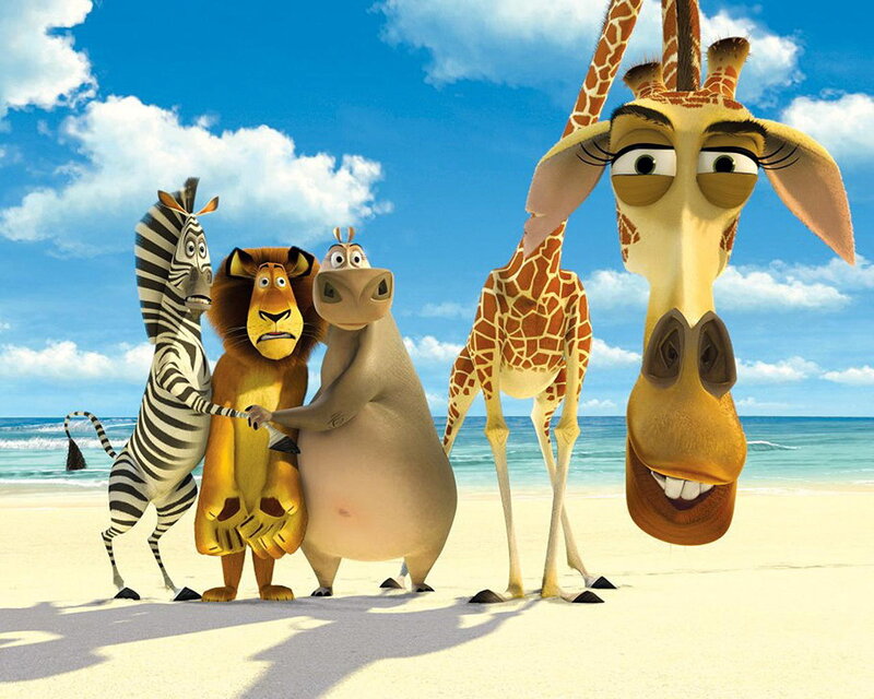 Zebra Lion Hippo Giraffe — Blue, Playful