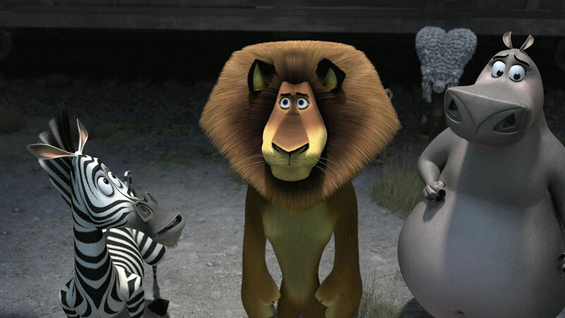 Zebra Lion Hippo