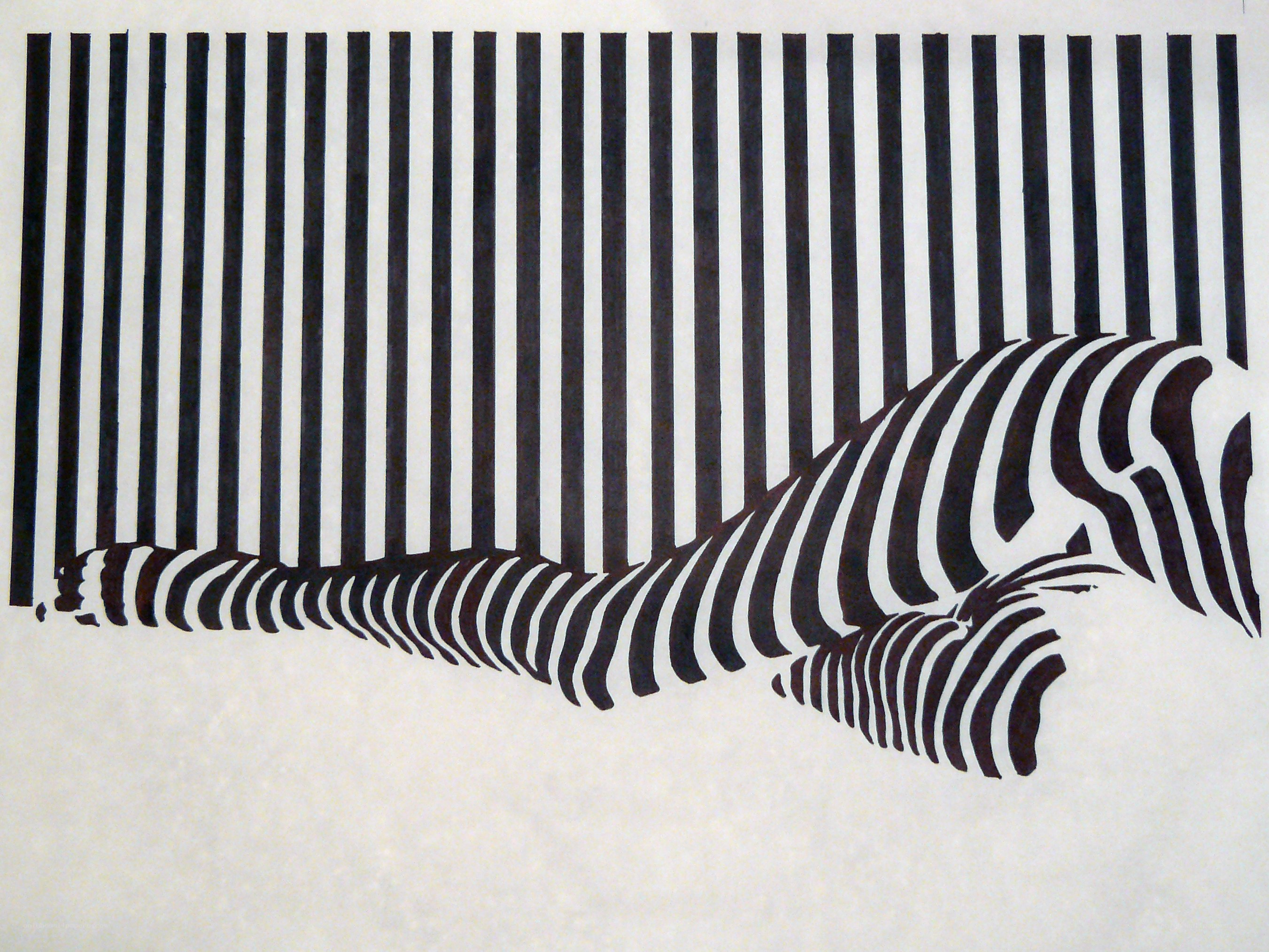 Zebra optical illusion art