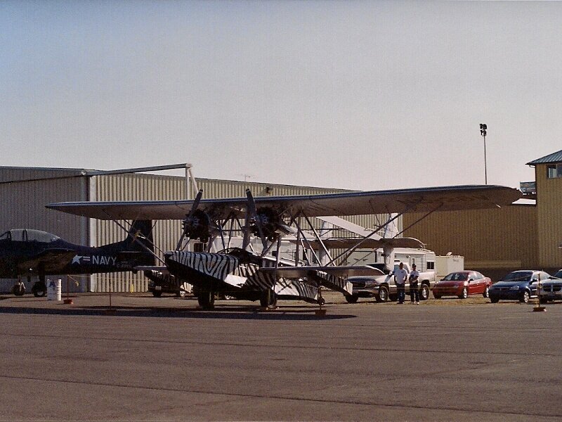 Zebra-painted Biplane