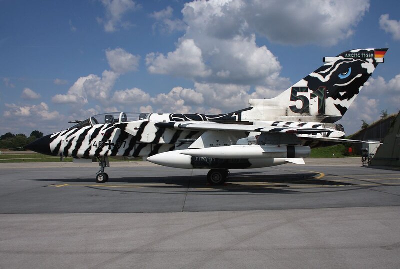 Zebra-painted Jet Aircraft