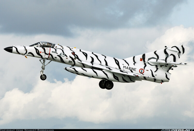 zebra-painted jet in flight