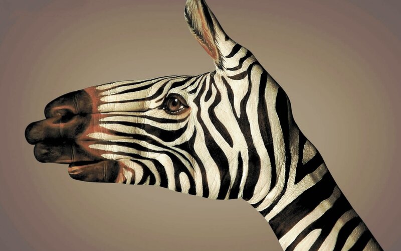 Zebra Painted on Hand — Black, Dramatic