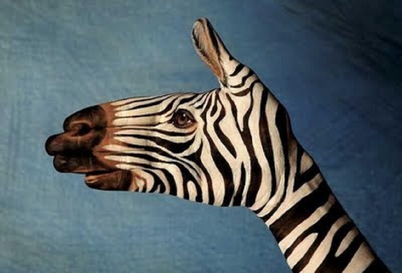 Zebra Painted on Hand — Blue