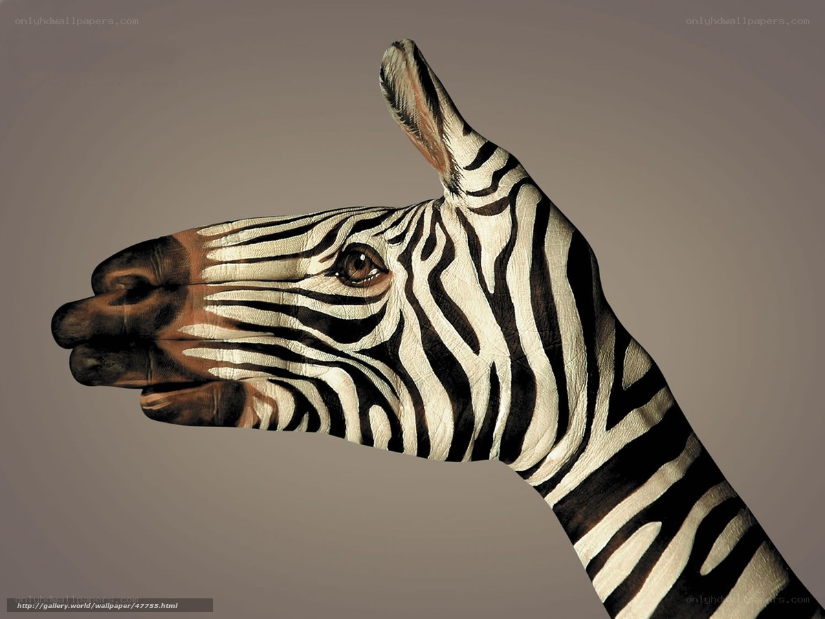 zebra painted on hand
