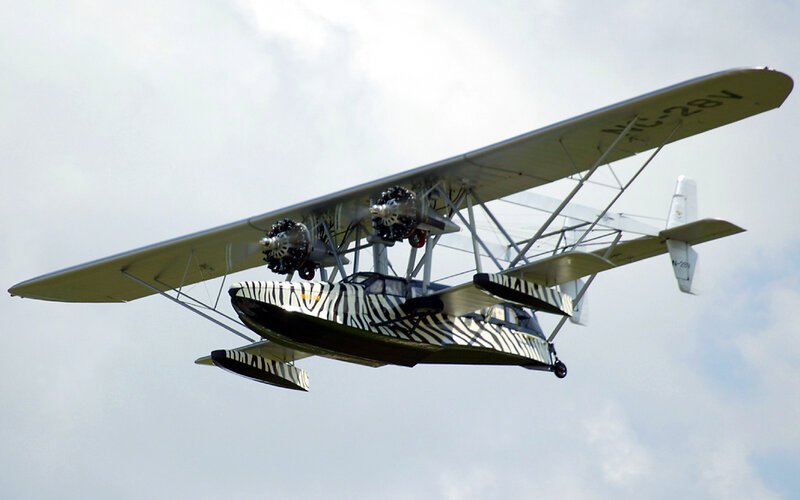 zebra-painted seaplane in flight