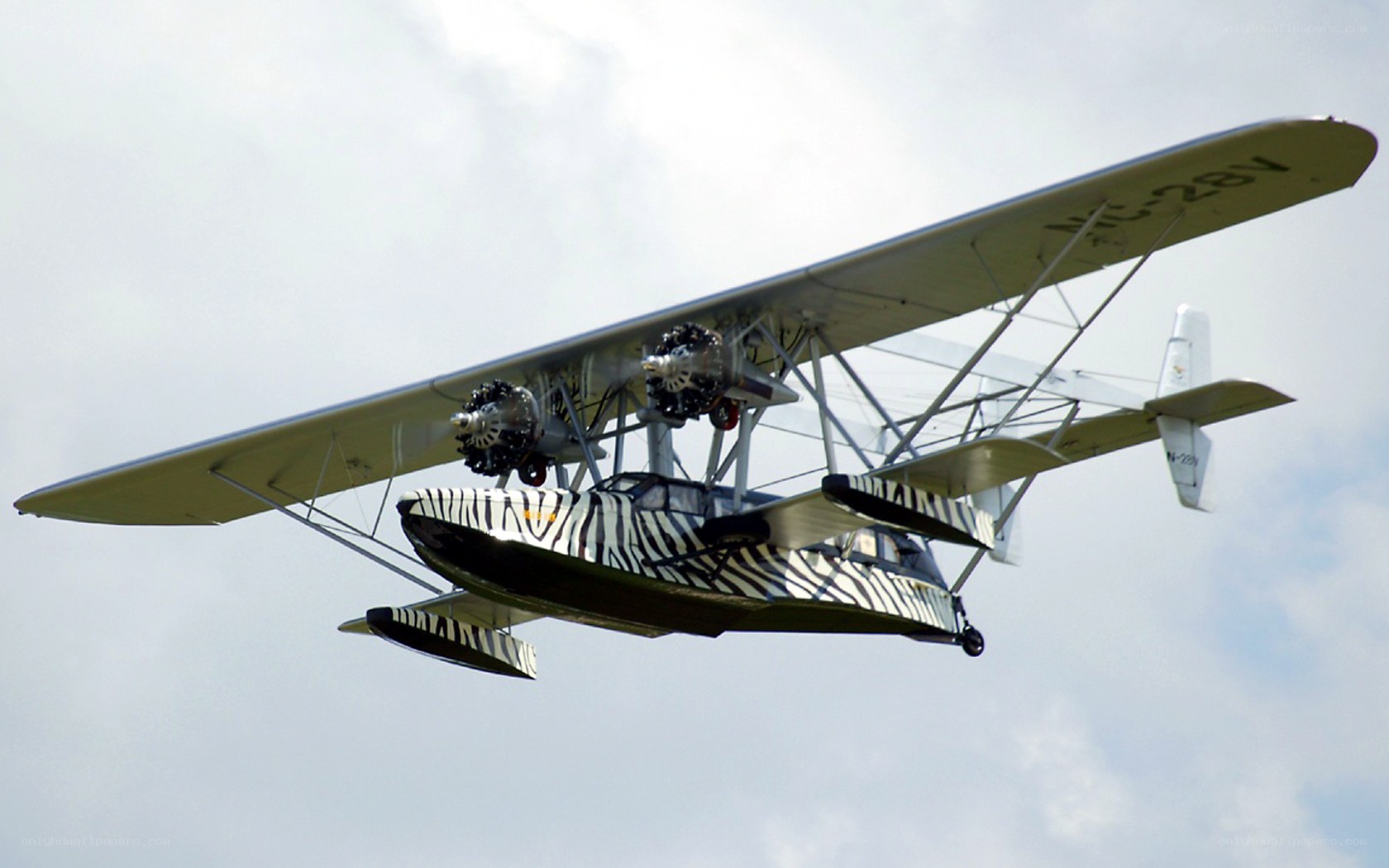 zebra-painted seaplane in flight