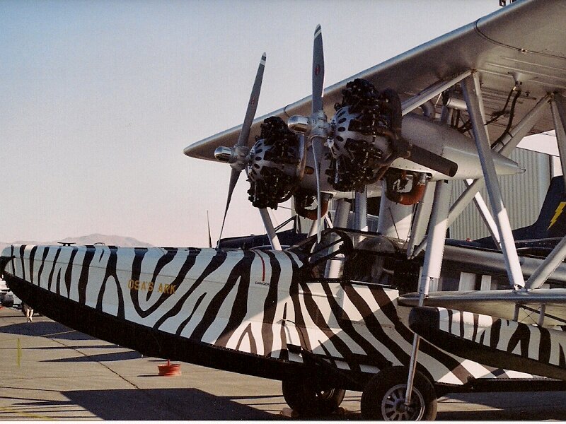Zebra-painted Seaplane