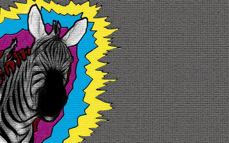 zebra pop art illustration