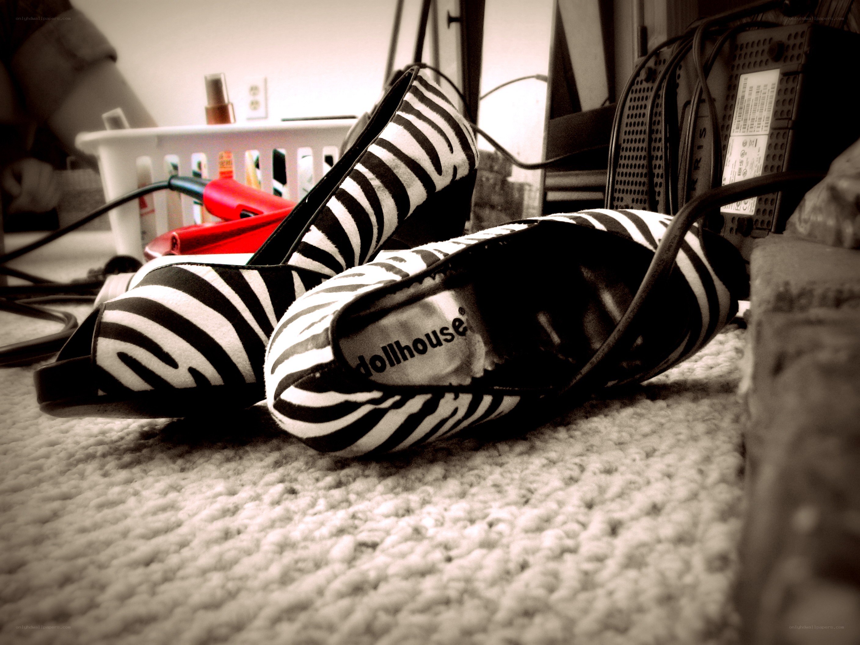 zebra-print shoes on carpet