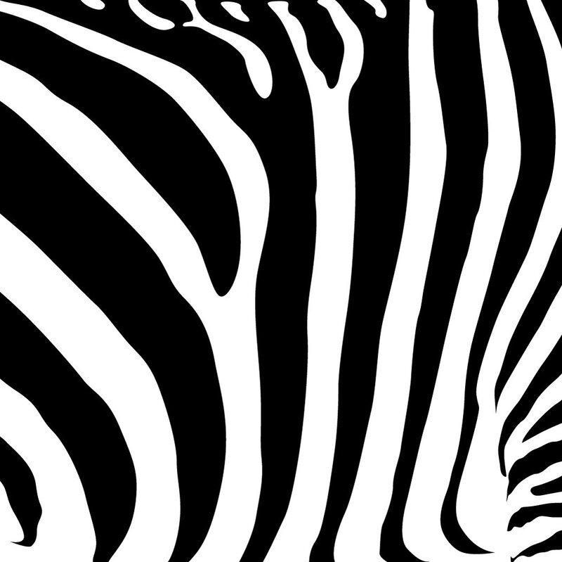 Zebra Stripe Pattern — Black