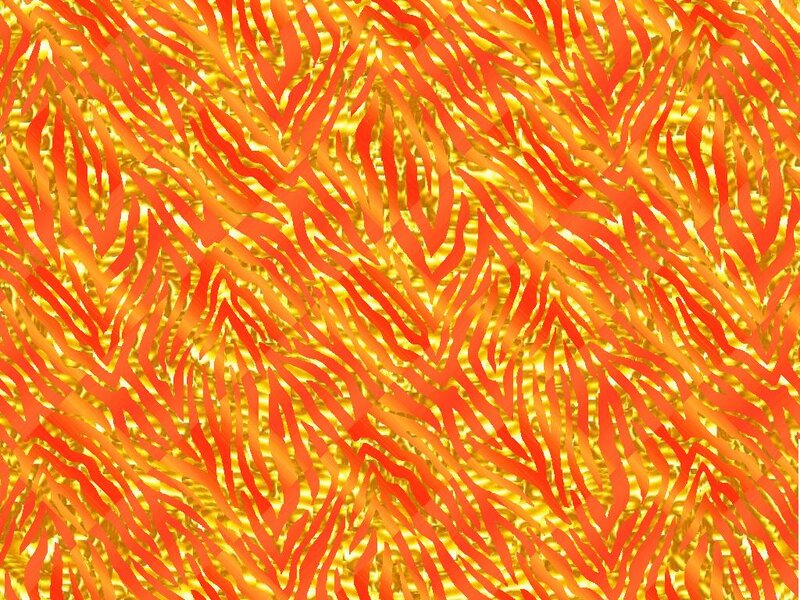 Zebra-stripe Pattern — Orange