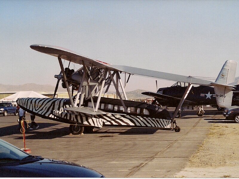 Zebra-striped Biplane
