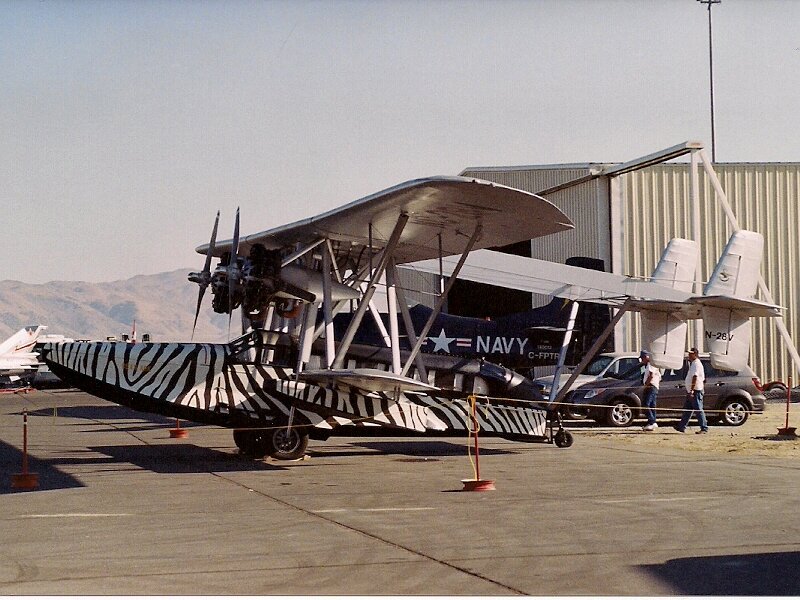 Zebra-striped Seaplane