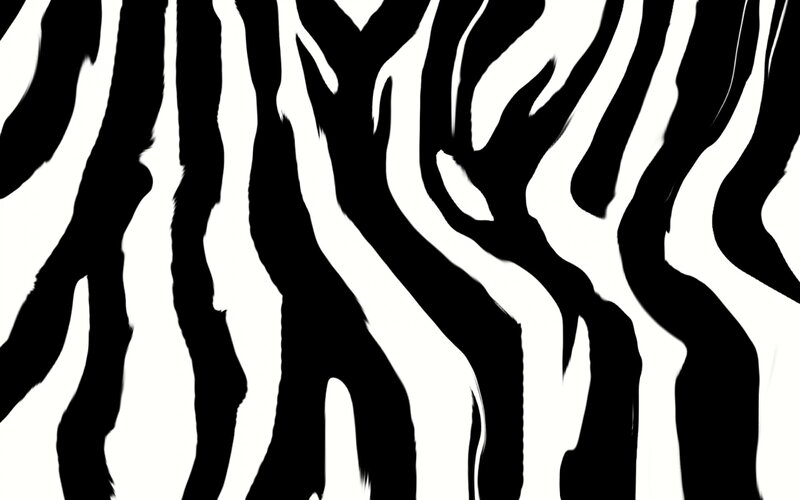 Zebra Stripes Pattern — Black, Neutral