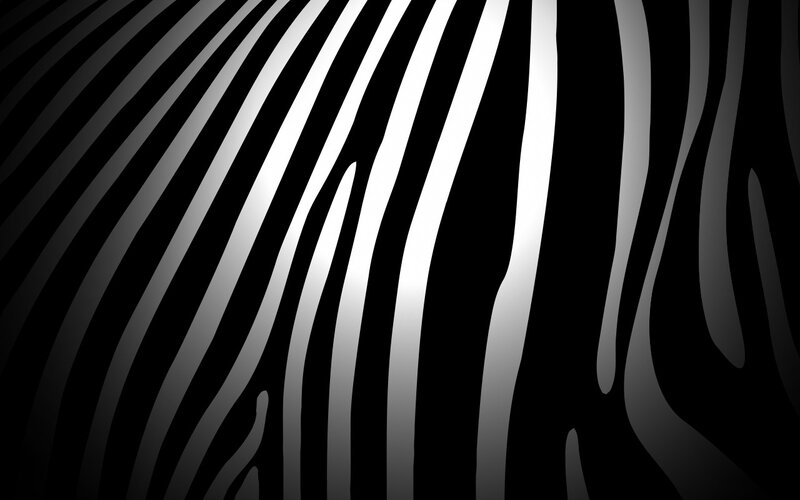 Zebra Stripes Pattern