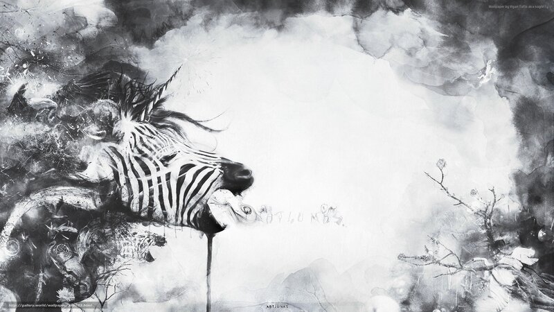 zebra unicorn abstract art