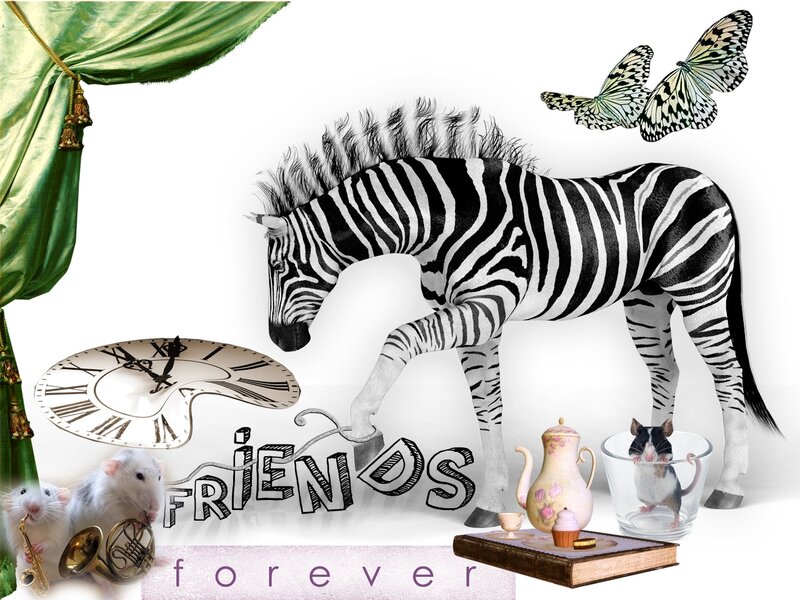 Zebra with Animals