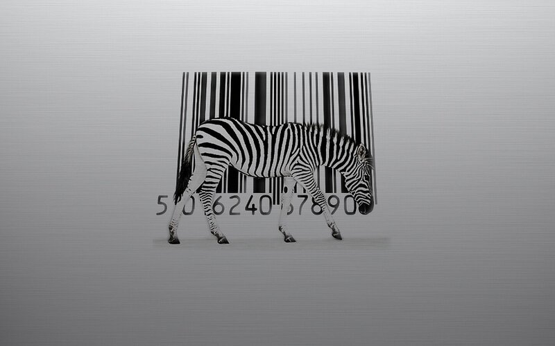 zebra with barcode background
