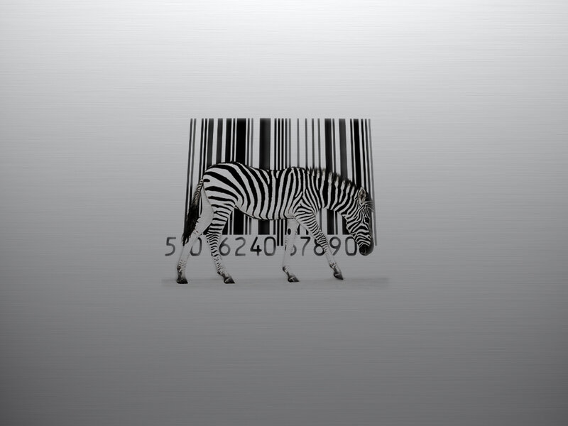 zebra with barcode background