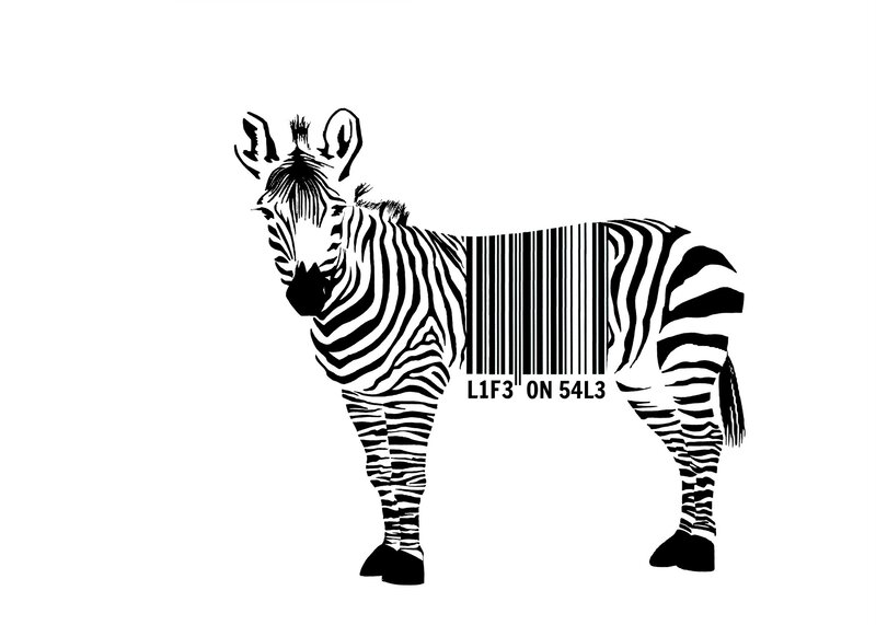 Zebra with Barcode — Black