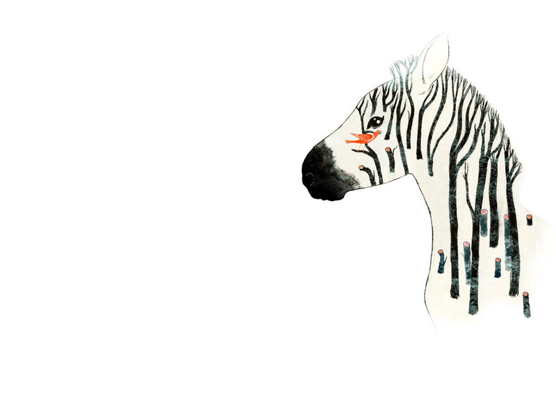 zebra with bird illustration
