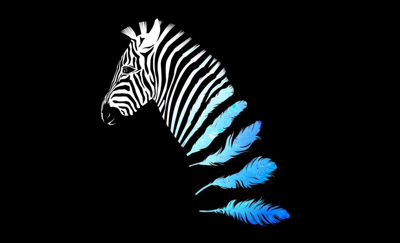 zebra with blue feathers