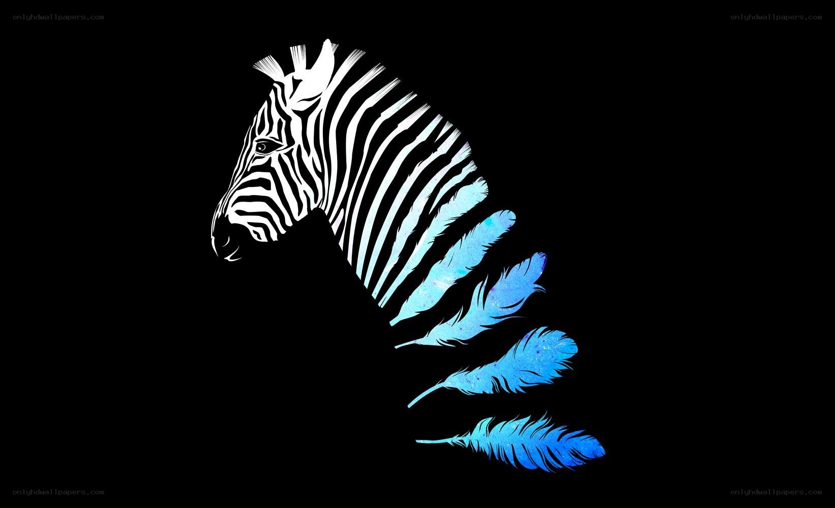 zebra with blue feathers