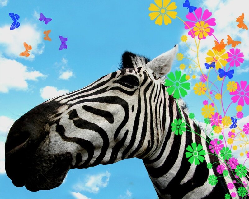 zebra with colorful flowers