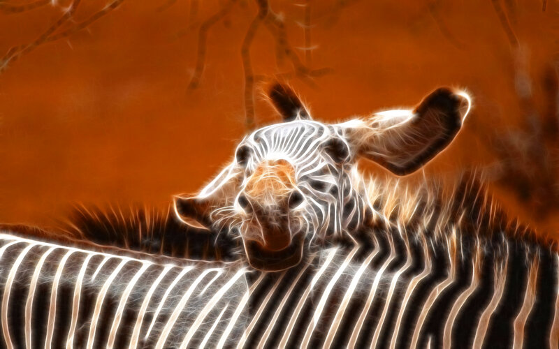 Zebra with glowing stripes