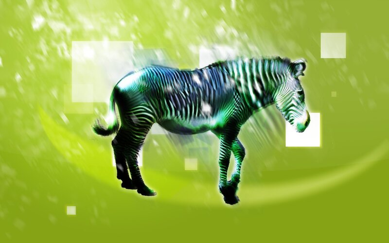 Zebra with Green Stripes — Dynamic