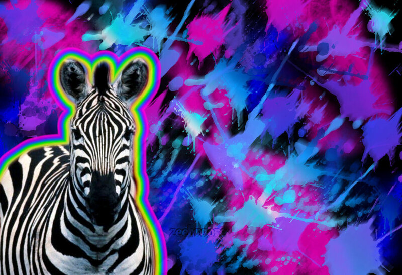 Zebra with Rainbow Outline