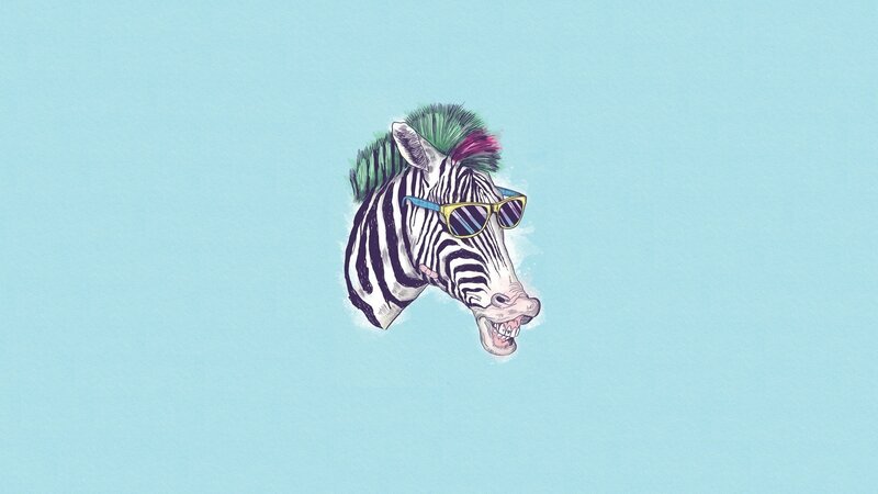 zebra with sunglasses and mohawk