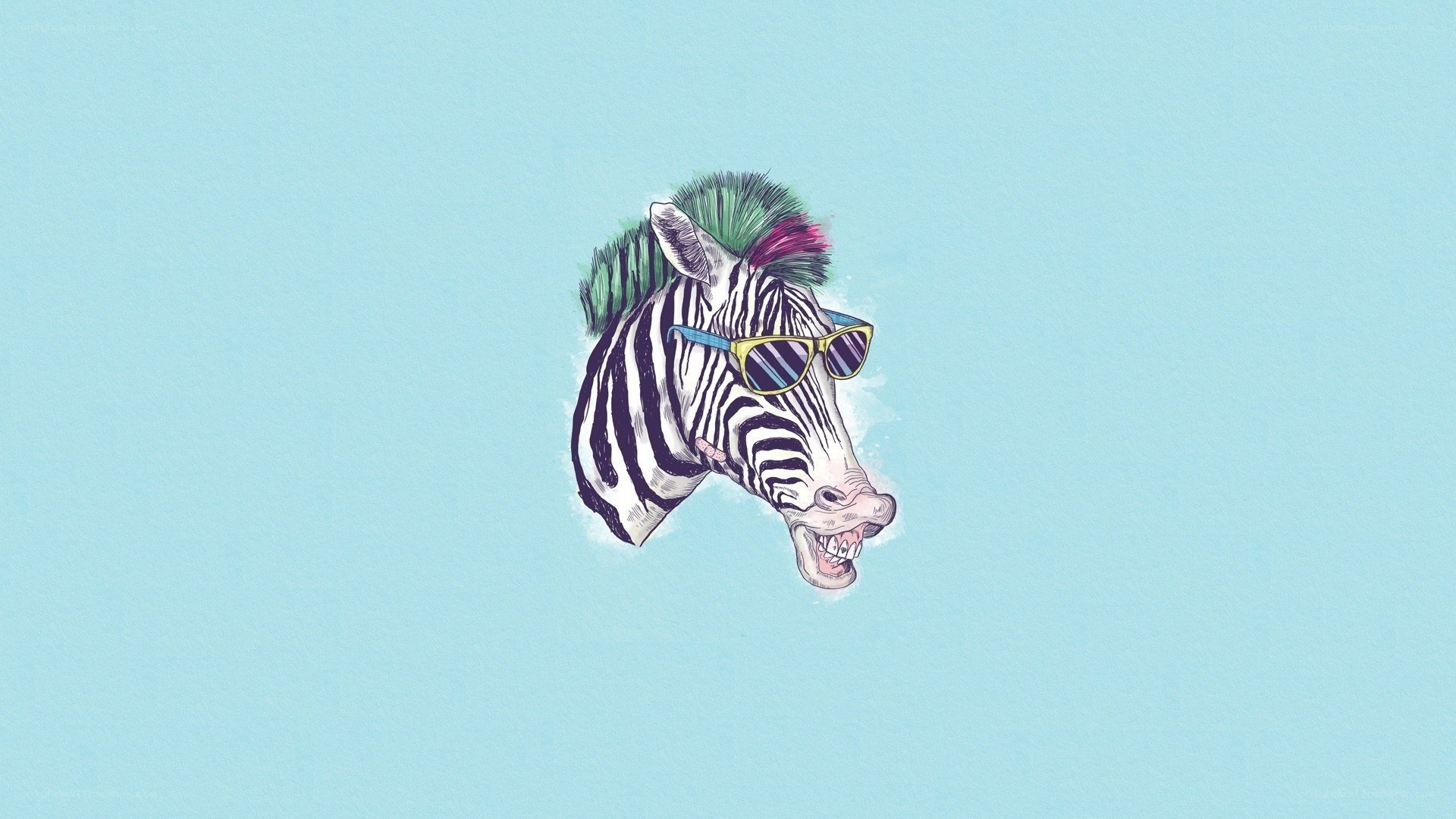 zebra with sunglasses and mohawk