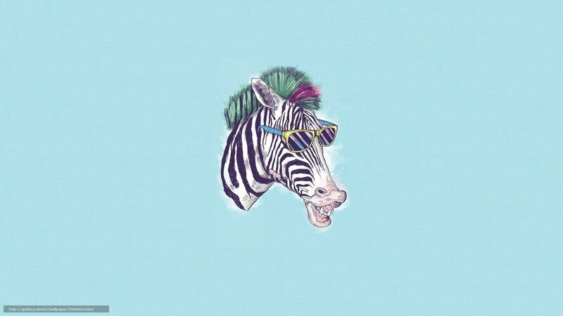 zebra with sunglasses and mohawk
