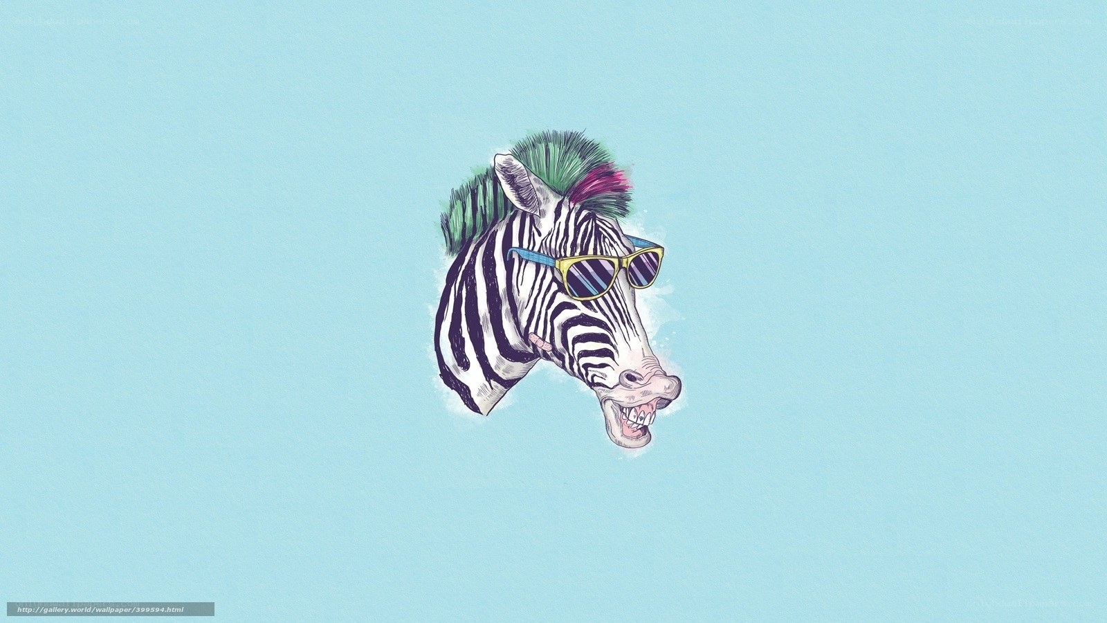 zebra with sunglasses and mohawk