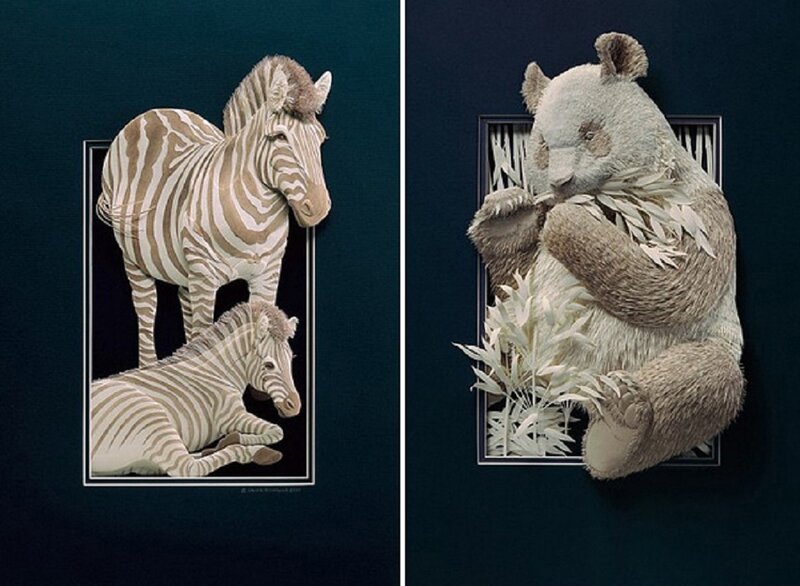 Zebras and Panda Bear