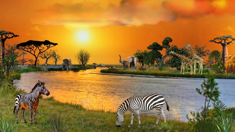 Zebras at Riverbank