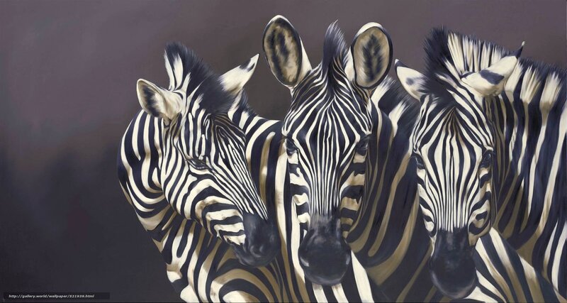Zebras in a group